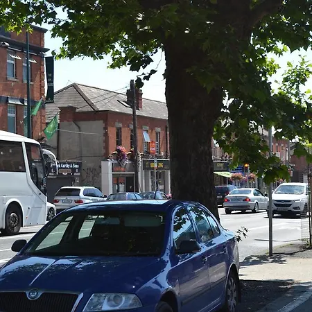 Aine Rose Guest * Dublino