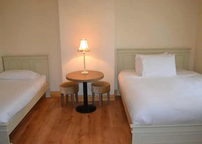 Aine Rose Guest * 都柏林