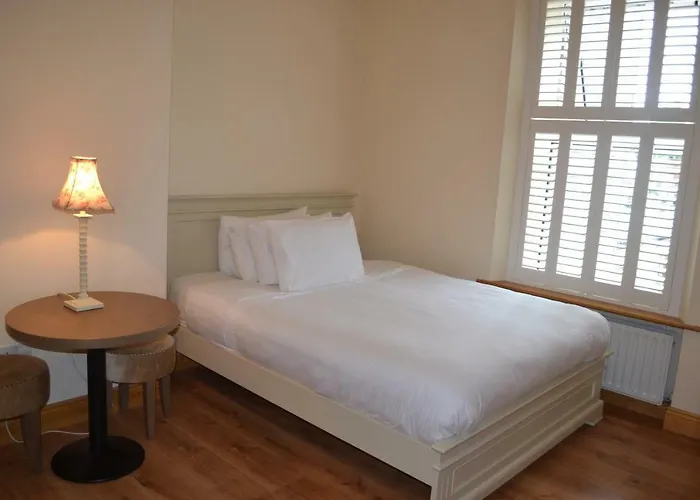 Aine Rose Guest 招待所 都柏林