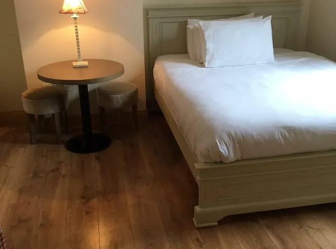 Aine Rose Guest * Dublin